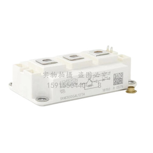 Igbt Skm150Gal12T4 Skm200Gal12T4 Skm300Gal12T4 Ff450R12Kt4