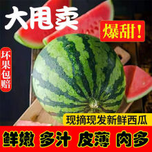 ���r���ωĹ����r�����������뱡Ƥ�������rˮ�����𑪼�������]