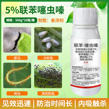 联苯菊酯噻虫嗪小麦蚜虫白粉虱吸浆虫蓟马跳甲专用生物农药杀虫剂