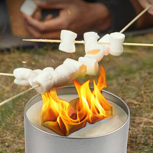 �A������BBQ�Ɍ�����Ϟ�T����ľ̿�޾�Ϟо����¶�I����Ϟ�T