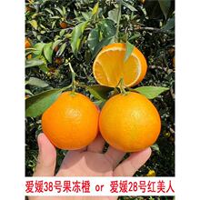 ����38̖�����ȳ��Ә������28̖�t���˽��Ә������Ե��Թ������