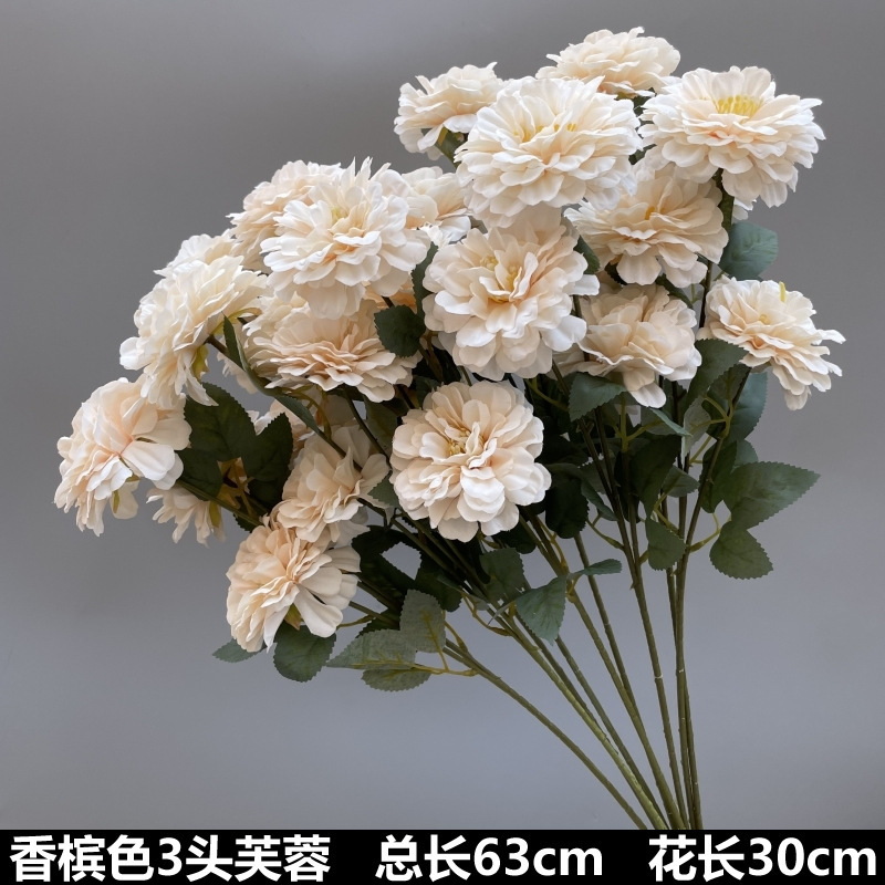 シャンパン色の結婚式の花の花の花の材料の結婚祝いの装飾の花の講堂の装飾の花のプラスチックの花の道は花の造花を導いています。|undefined