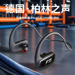 �{�����C2024�¿���ʽ�߶���o���\�ӽ����ܲ����L�m�������