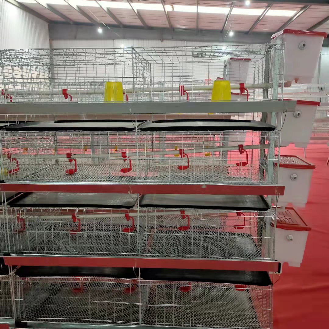 三层立式肉鸡笼养殖场鸡笼镀锌鸡笼子阶梯式蛋鸡 养鸡场H型框架笼-阿里巴巴