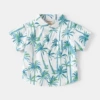 Coconut tree-v shirt