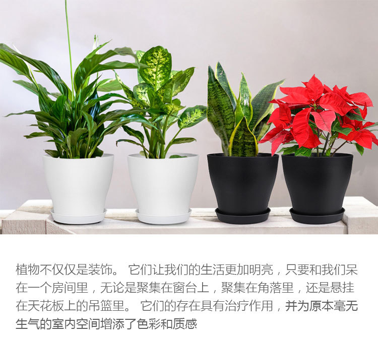 C13详情_03.jpg
