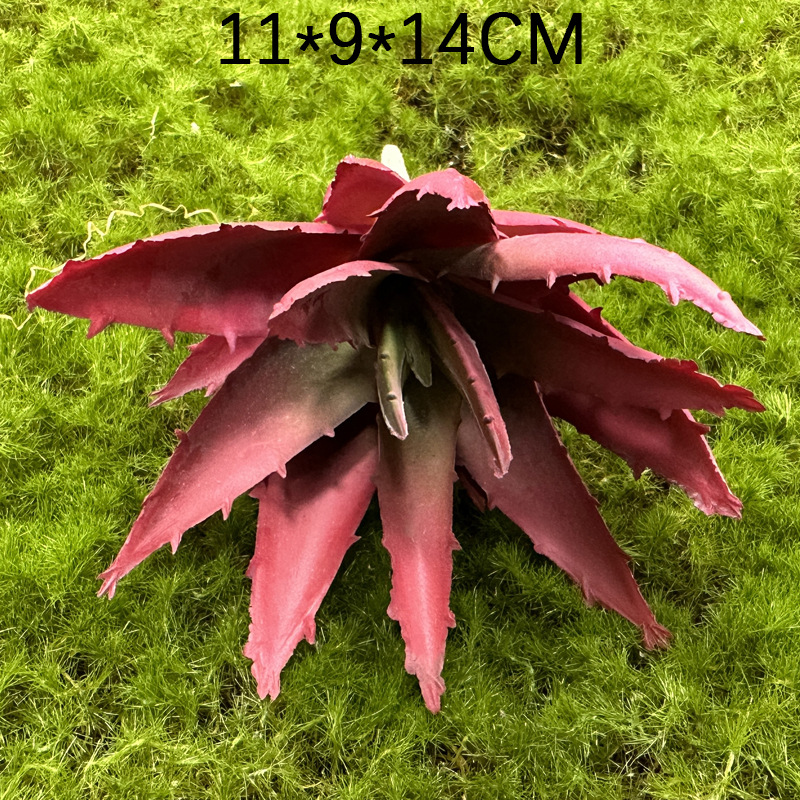 Marco decorativo Planta nórdica colgante de pared decoración de pared colgante de pared tridimensional pared de fondo de planta verde pared cabeza de ciervo simulación suculento planta verde