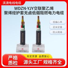 WDZN-YJFY������ϩ��ϩ�N�o�ןo�u�͟���ȼ�����|