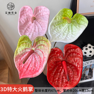 3D�ش���Q�Ʒ��滨���Z�Ʒ���ֲ���c���Ļ�Y�b� �ٻ�