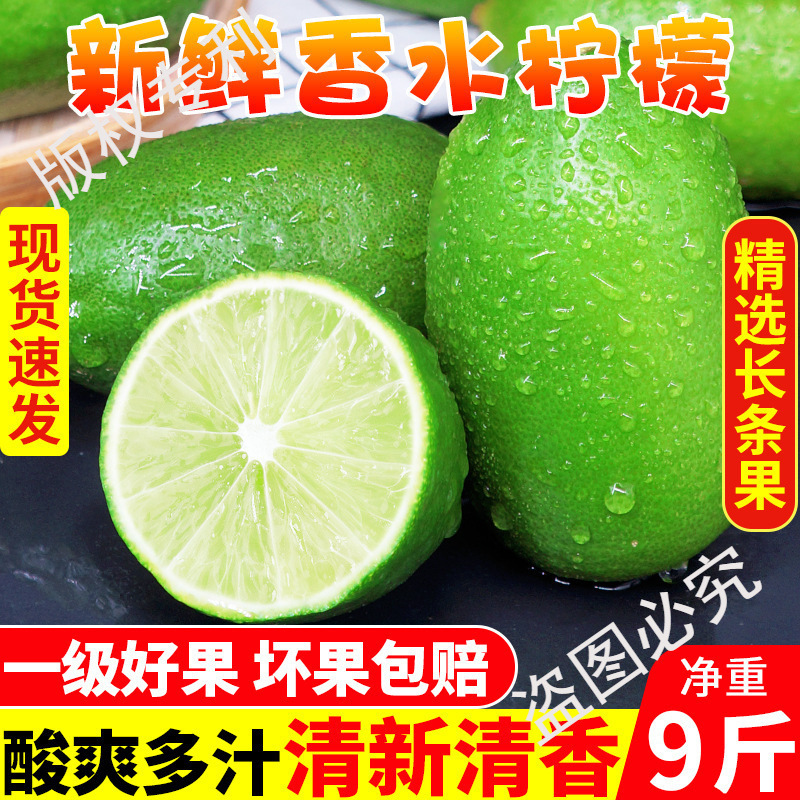 Hainan Perfume Lemon Fresh First-Grade Fruit Seasonal Fruit Hainan Seedless Green Lemon Milk Tea Shop Special 9 Jin 1