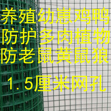 ���F�z�W���ھW���m�W����늺��W�Bֳ�W���x�W���o�u���ڰ��]
