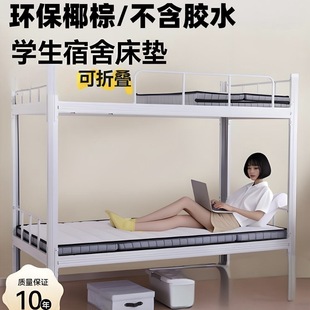 Foldable Mattress for Student Dormitory, Single Eco-Friendly Coconut Palm Thin Model, Supports Folding, Dedicated for Students Living on Campus, Bunk Bed