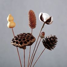 天然干花花束单只松果棉花组合禅意永生花摆件ins风