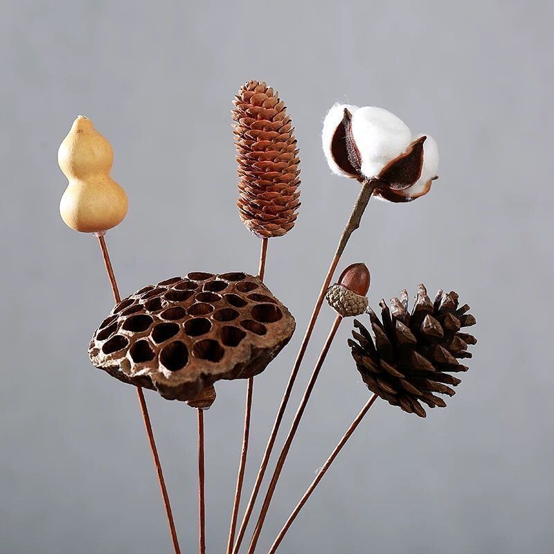 天然干花花束单只松果棉花组合禅意永生花摆件ins风