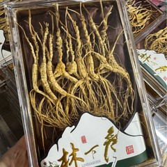 参品参人参長白山林下野山参礼箱東北特産物泡酒整枝林下種多枝金白