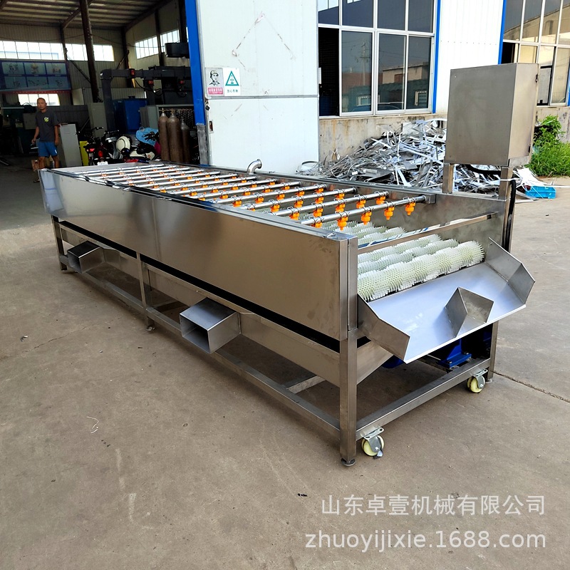 大姜清洗机马蹄大姜粽叶生蚝全自动商用毛辊清洗机山药土豆去皮机