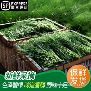 ����S���]��ɳ�[���r���Cɳ�[���rɳ�[�خa�߲����r�߲�Ұ��С�[