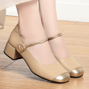 French Style Chunky Heeled Single-layer Shoes Women's New Spring Elegant Fairy Mary Jane Shoes Mid-heel Colorblock Milk Shoes