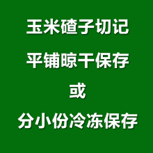 2022年新粮东北大碴子农家自产非玉米碎粗杂粮苞米碴子茬子粥现磨