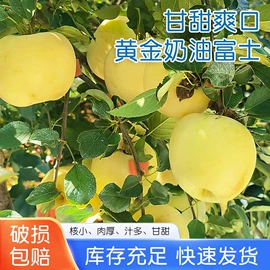 柑桔;牛肉零食;其他水果