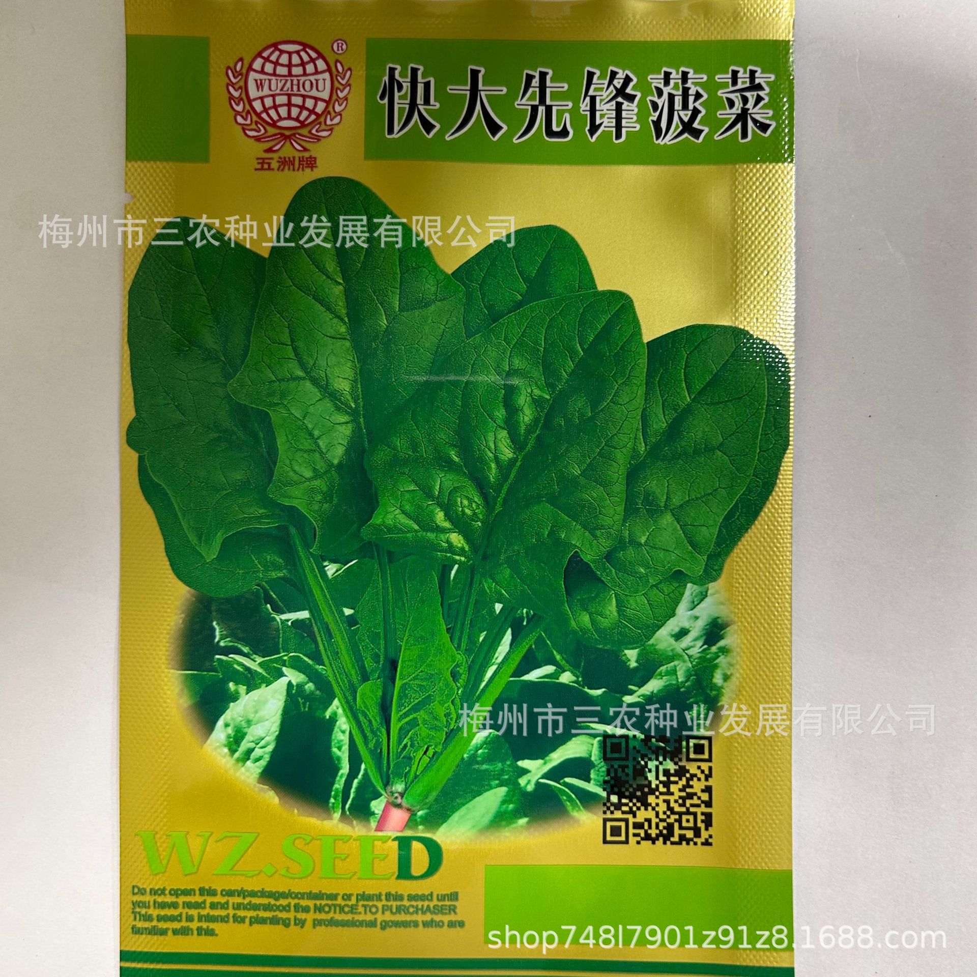 五洲牌快大先锋菠菜种籽菜园院子菠菜蔬菜种子电商批发厂家直发