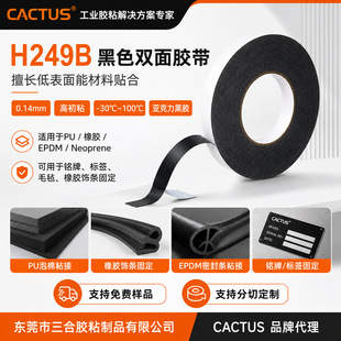 Cactus ������ H249B �޼��p���z�����Iģ�п���˺������ճ���z
