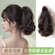 �ٰl�Rβ�滨���̿���Rβ�l���[����Ȼ�ߜؽz�ٰl�p��ץ�A�Rβ�p