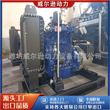 30kw发电机组康明斯 天燃气发电机组50kw 100千瓦沼气小型发电机