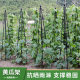 Gardening vine climbing stand four-corner vine climbing stand balcony plant climbing beans cucumber stand wire lotus flower stand