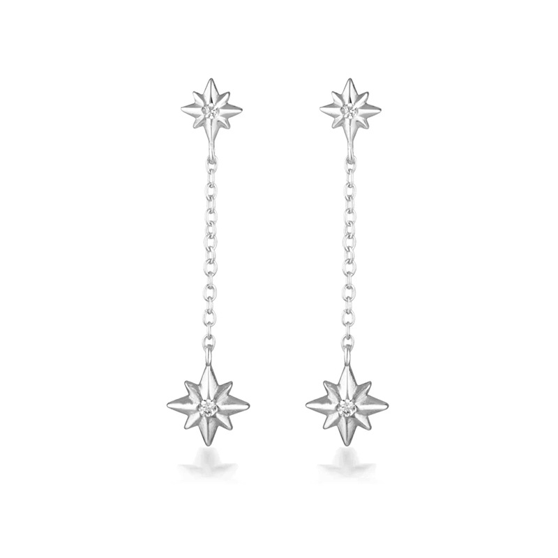 Fashion Star Tassel Diamond Earrings Korean Long Sexy Temperament Silver Earrings Wholesale display picture 3