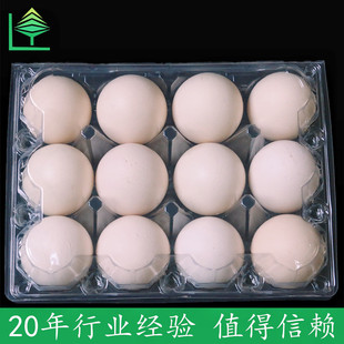 ͸���u�����b����С̖�u���бP�G���u����һ���������u�������l