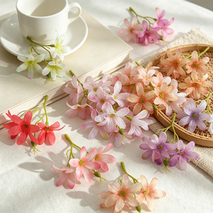 3�����С�m��  DIY����Ů�����l���^����ѩ������Ьñ�ٻ����