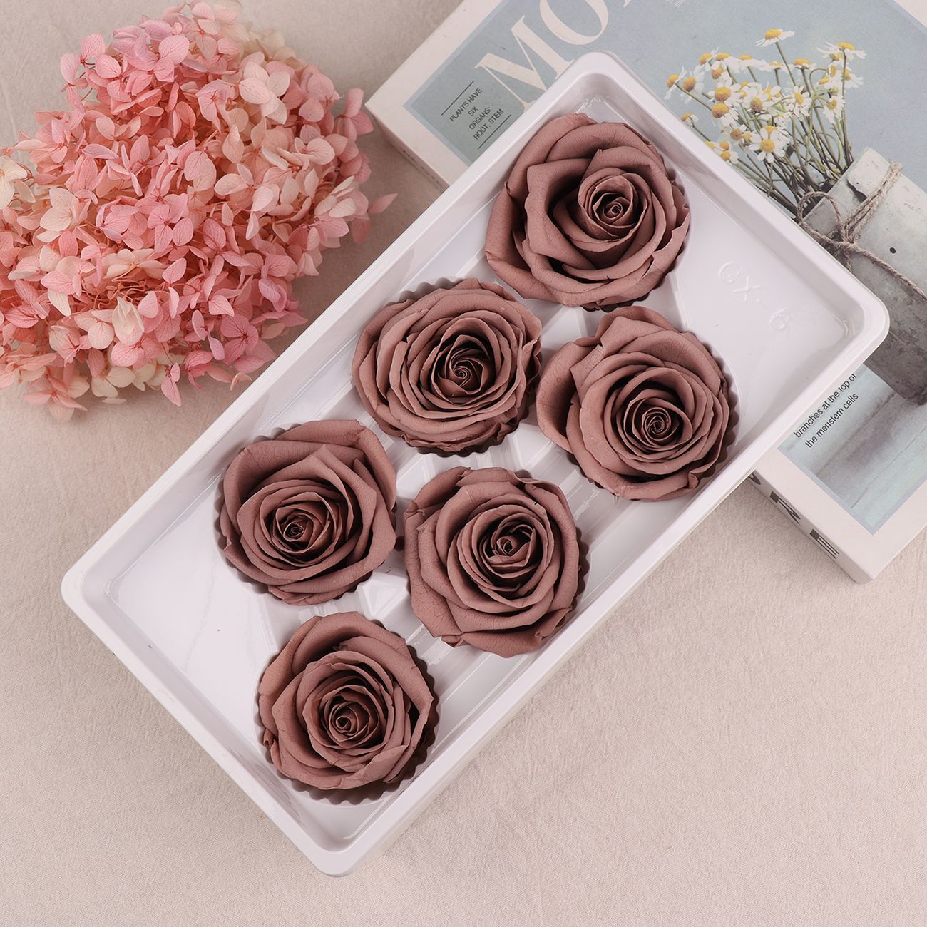 Rosa Preservada A+ de 5-6 cm, Flor Real Seca, Regalo DIY, Venta al por Mayor de Yunnan, Ramo para el Día de la Madre, 520