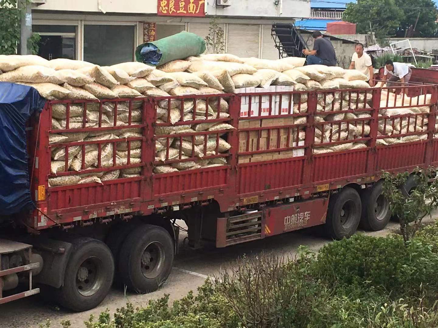 c3974aa7c7ae2479a69244acbc6a84