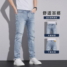 �羳ǳɫţ�п���ʿ2026�¿�Ŀ�ֱͲ����С�ų������п����