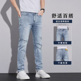 �羳�\ɫţ��ѝ��ʿ2026�¿�Ŀ�ֱͲ����С�_�Lѝ���п����