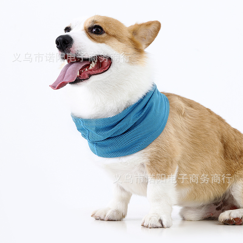 Amazon's Cold-Sensing Scarf for Dogs and Cats, Summer Dog Ice Scarf, Cooling Scarf, Pet Scarf in Stock