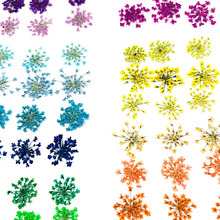 �ٽz���ɻ����� DIY���ϕ����Ʒ���z��֬������Ѻ��ѩ�黨�ɻ�