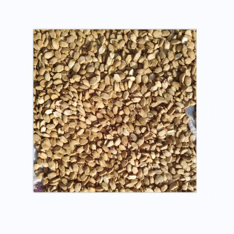 好阳光优质新鲜种子苦瓜种子抗病瓜型靓产量好