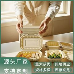 可降解高颜值一次性餐盒一格餐盒环保外卖食品级方形饭盒