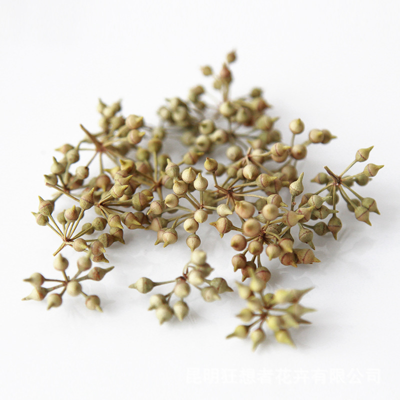 Trái cây Kê (một túi 20 gram, khoảng 70 chiếc)