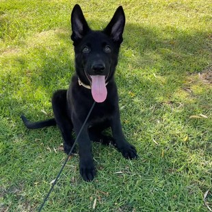 ���N�|������Ȯ��Ȯ���w���l�r���ﹷ������Ȯ�ڱ�