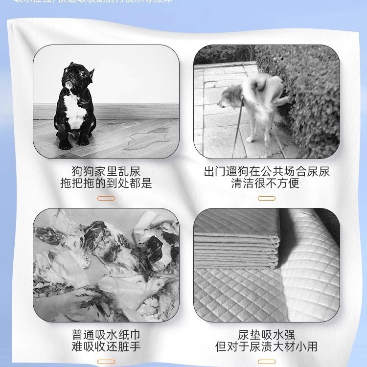 犬用吸水紙 ペット用吸水紙 おしっこパッド テディ専用 使い捨て吸水おむつ おしっこシート