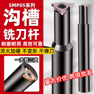 �羳�ӹ����Ŀ��ɲ۵��USMP05�\��TGF�ϲۃȿ�T�β�㊵��U���l