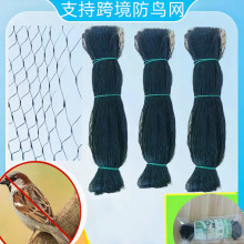 ���B�W�@�־W���@���B�W����ϩ���B�W�D�����B�W���ѷ���ɫ���B�W