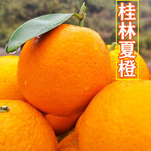 广西桂林高山夏橙当季新鲜水果酸甜可口橙子非脐橙血橙冰糖橘