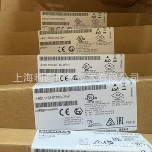 6Dl1193-6Tp00-0Bm1Et200Sp Series