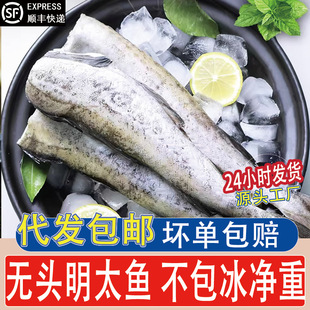 ��̫�~���r���������ȥ�o�^�L�~���~���l�����~����ú��r���l