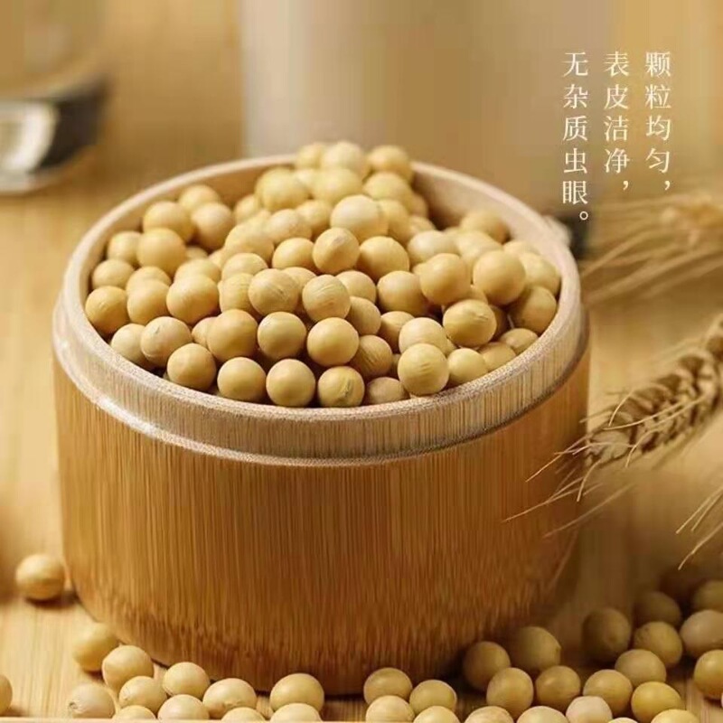 東北農家産大豆 500g 新品高品質大豆粒たっぷり、豆乳専用大豆、多仕様|undefined