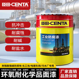 环氧耐化学品面漆工业漆机械设备钢结构金属漆耐酸碱防腐防锈油漆